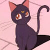 orangecat3344